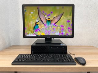 Kit PC Lenovo + Dell P2213 22"