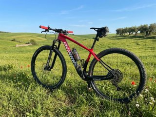 Bicicleta 29 Talla S