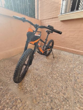 Bicicleta Eléctrica 550W 20 pulgadas