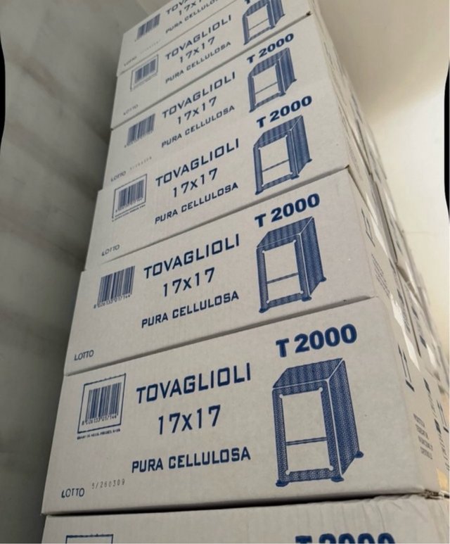 Lotto Tovaglioli 17x17 Pura Cellulosa T 2000