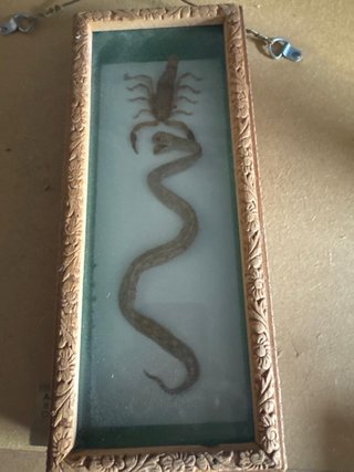 Cuadro Decorativo Antiguo con Escorpión y Serpient