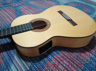 Guitarra Camps Amplificada Fishman Pro Blend