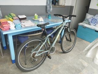 Bicicleta de Montaña cube