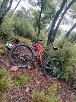 Bicicleta Cannondale trail SL 3, in ottime condizioni