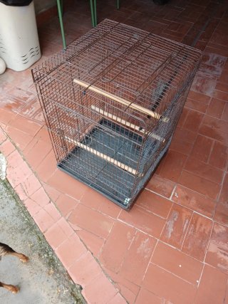 Jaula para Loro