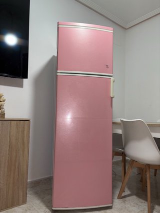 Nevera Rosa de Dos Puertas