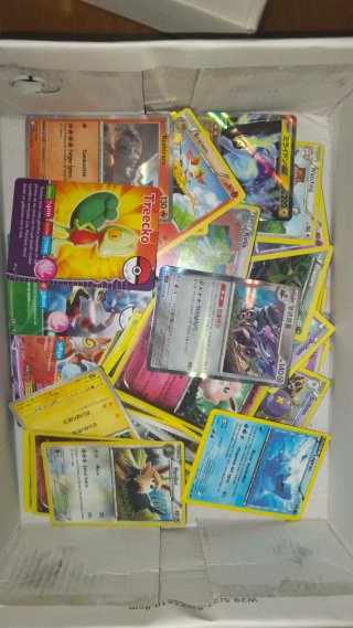 Lote de Cartas Pokémon