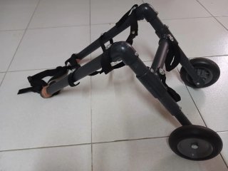 Silla ruedas perro