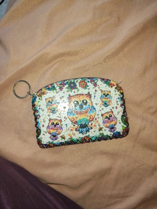 Monedero con Estampado de Búhos
