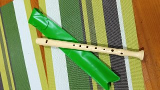Flauta Escolar con Funda