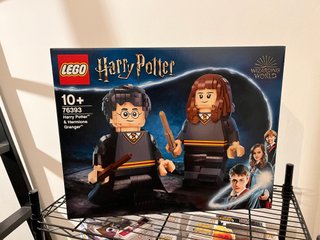 LEGO 76393 - Harry Potter ed Hermione Granger