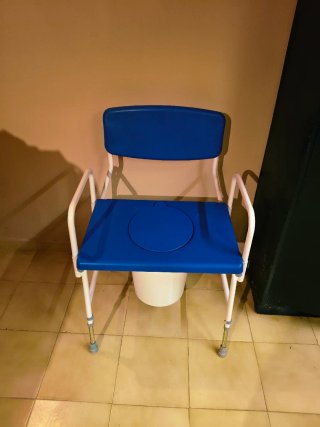 Silla Inodoro con Ruedas