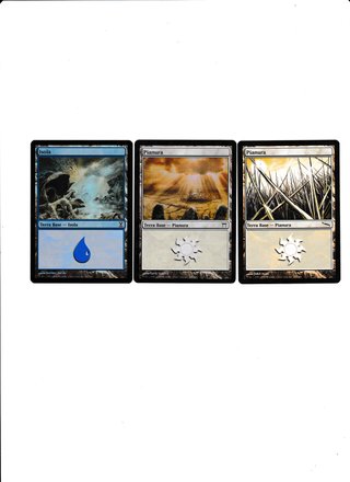 Lotto 3 Carte Magic: Terre Base Foil