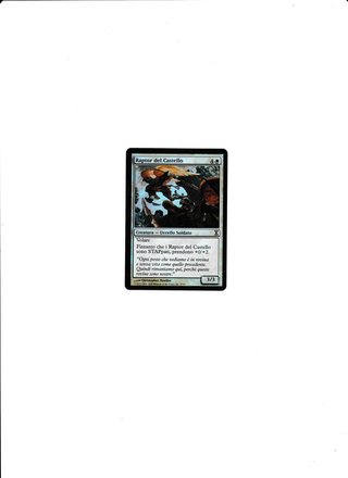 Carta Magic: Raptor del Castello Foil