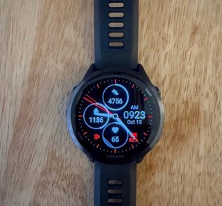 Reloj Garmin Forerunner 55 Negro