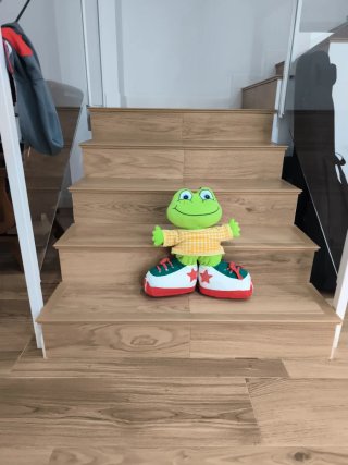 Peluche de Rana con Ropa