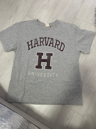 Camiseta Harvard University Gris