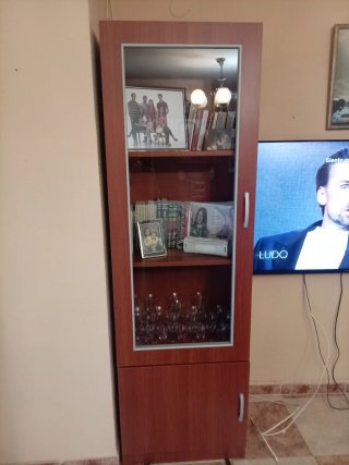 Vitrina de Madera con Puerta de Cristal