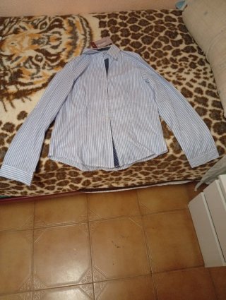 Camisa de vestir a rayas