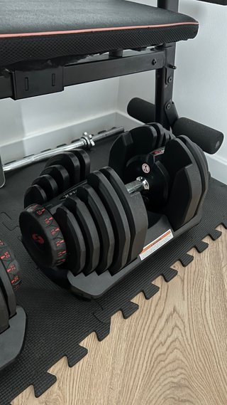 Set de 2 Mancuernas Regulables BowFlex 41kg