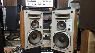 Altavoces Technics SB-R2