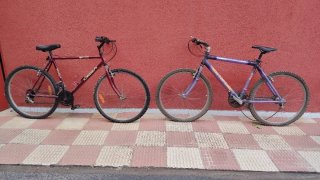 2 Bicicletas de Montaña Orbea y Top Line