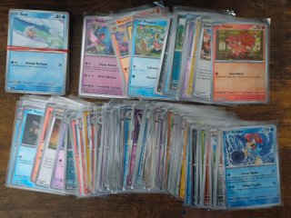Lote de cartas Pokémon bulk a 1 euro la carta