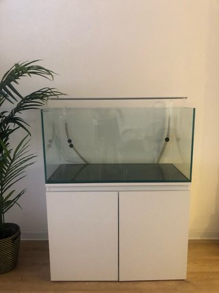 Acuario completo con mueble – Seminuevo