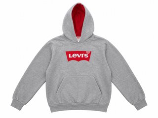Sudadera Levi's Gris con Capucha