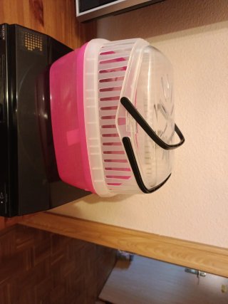 Transportín para mascota pequeña
