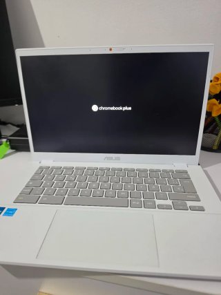 Portátil ASUS Chromebook Plus Blanco