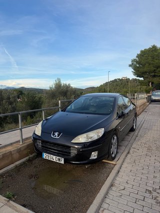 Peugeot 407 2006