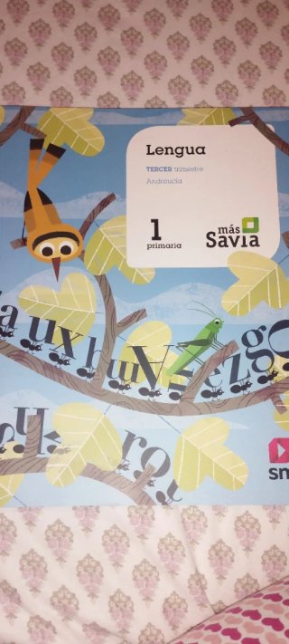 Libro 3 trimestre lengua SM