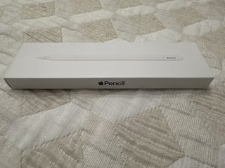 Apple Pencil USB-C (3º gen)