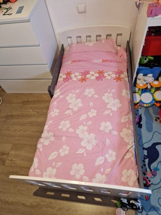 Cama Infantil con Barreras Laterales