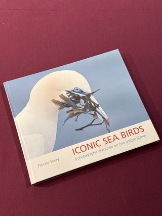 Iconic Sea Birds: a photographic encounter on t...