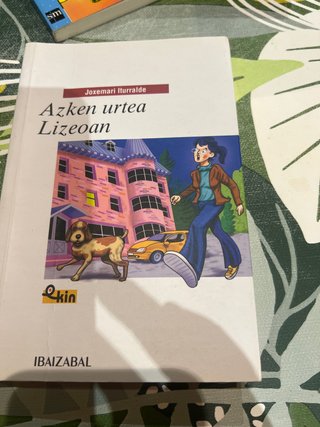 Azken urtea lizeoan