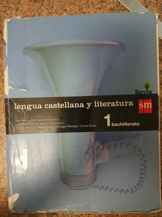 Lengua castellana y literatura, 1 Bachillerato