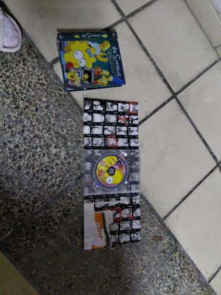 DVD Los Simpson (Die Simpsons)