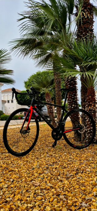 Bicicleta de carretera/ruta de carbono
