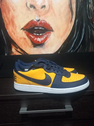 Zapatillas Nike Terminator Low OG Michigan