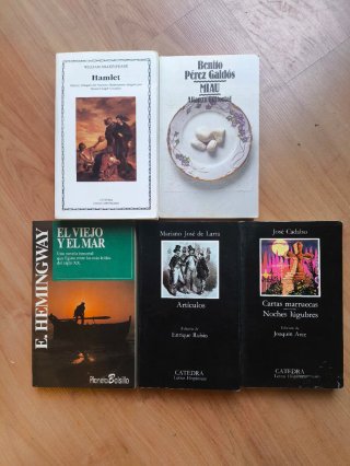 Lote de 5 libros de literatura clásica y narrativa