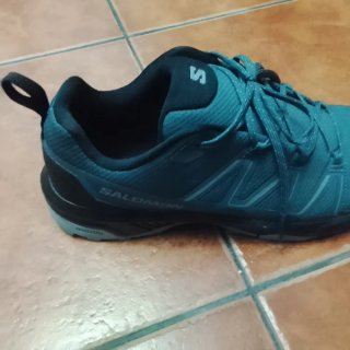 Zapatillas Salomon Exraise