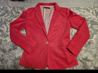 Americana Rosa Zara