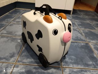 Maleta Infantil Trunki