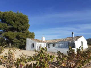 Casa de campo parcela de almendros y monte