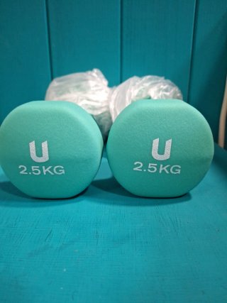 Par de Pesas de 2,5 kg
