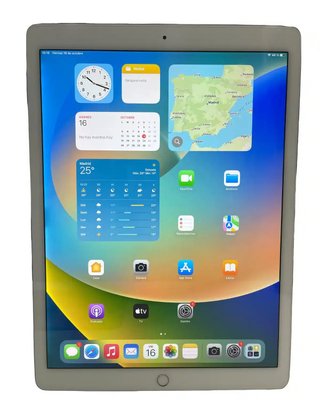 [※] Apple iPad Pro 12.9 (2.a Gen) 256GB Wi-Fi