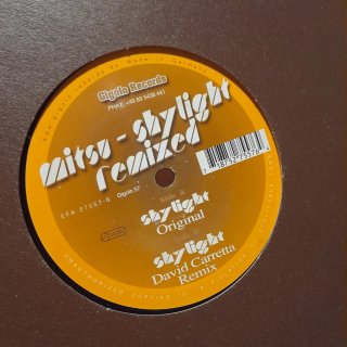 Disco de Vinilo electro gigolo