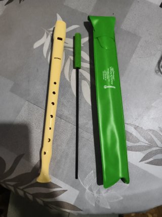 Flauta dulce Hohner con funda
